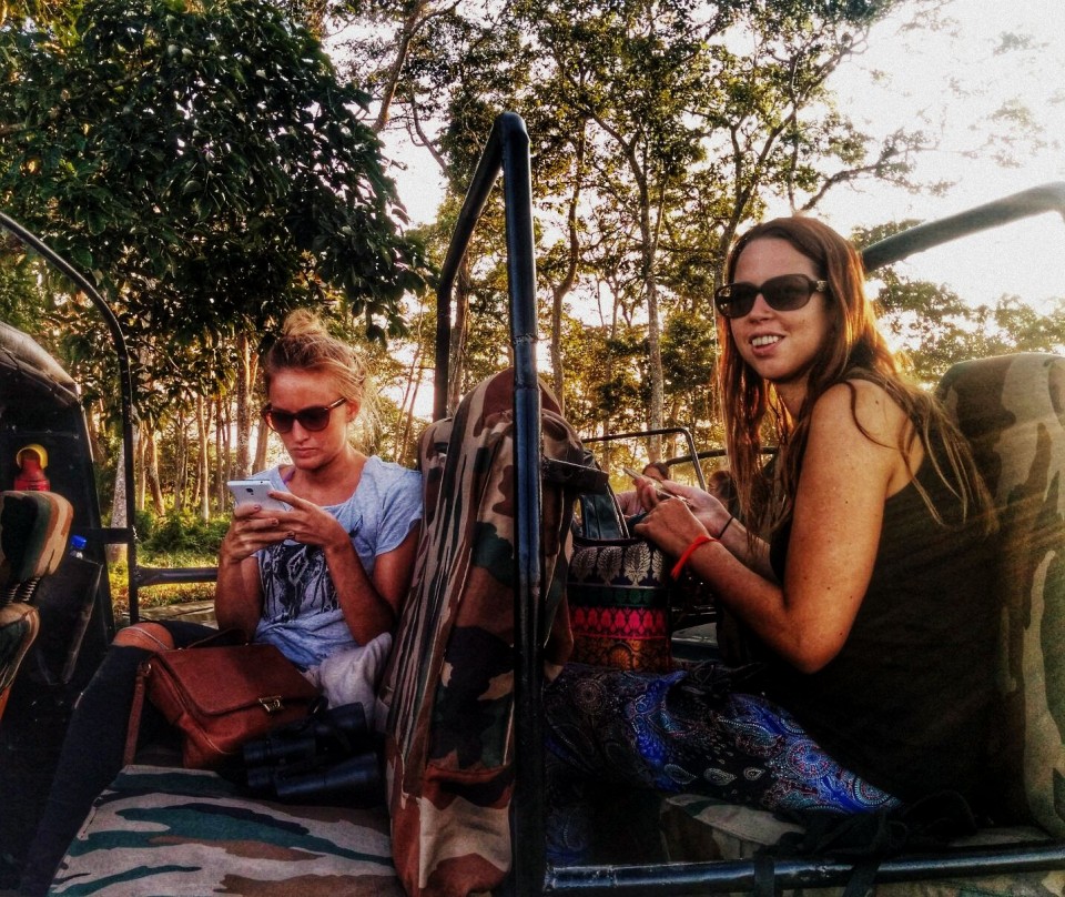 Jeep safari in Kaziranga Park, Assam