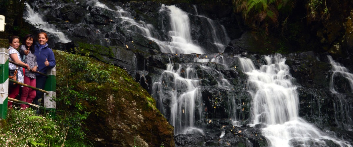 Meghalaya - Nature's Bounty