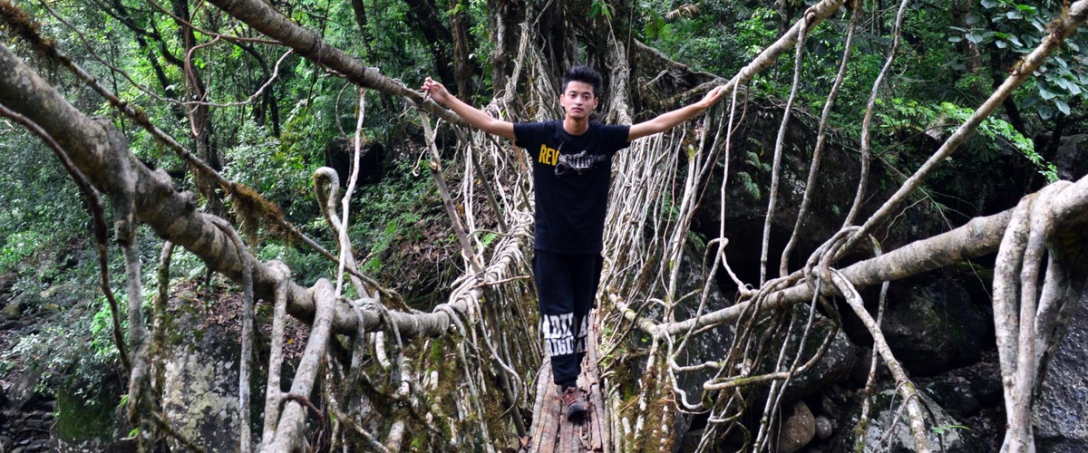 Meghalaya - Wildlife