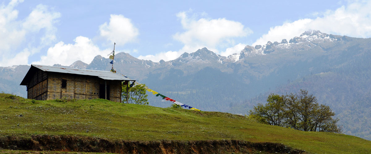 Arunachal Pradesh - Wildlife