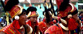 Nagaland Tour and Hornbill festival