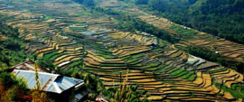 Nagaland Tours North East India